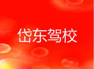 泰安岱東駕校