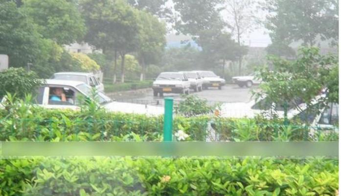 上海市中心駕校