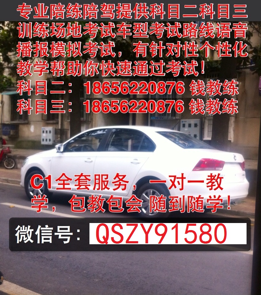 銅陵市專業(yè)汽車陪練