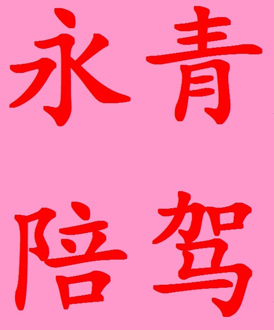 天津塘沽永青汽車陪練