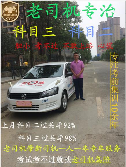 科目二科目三新手陪練