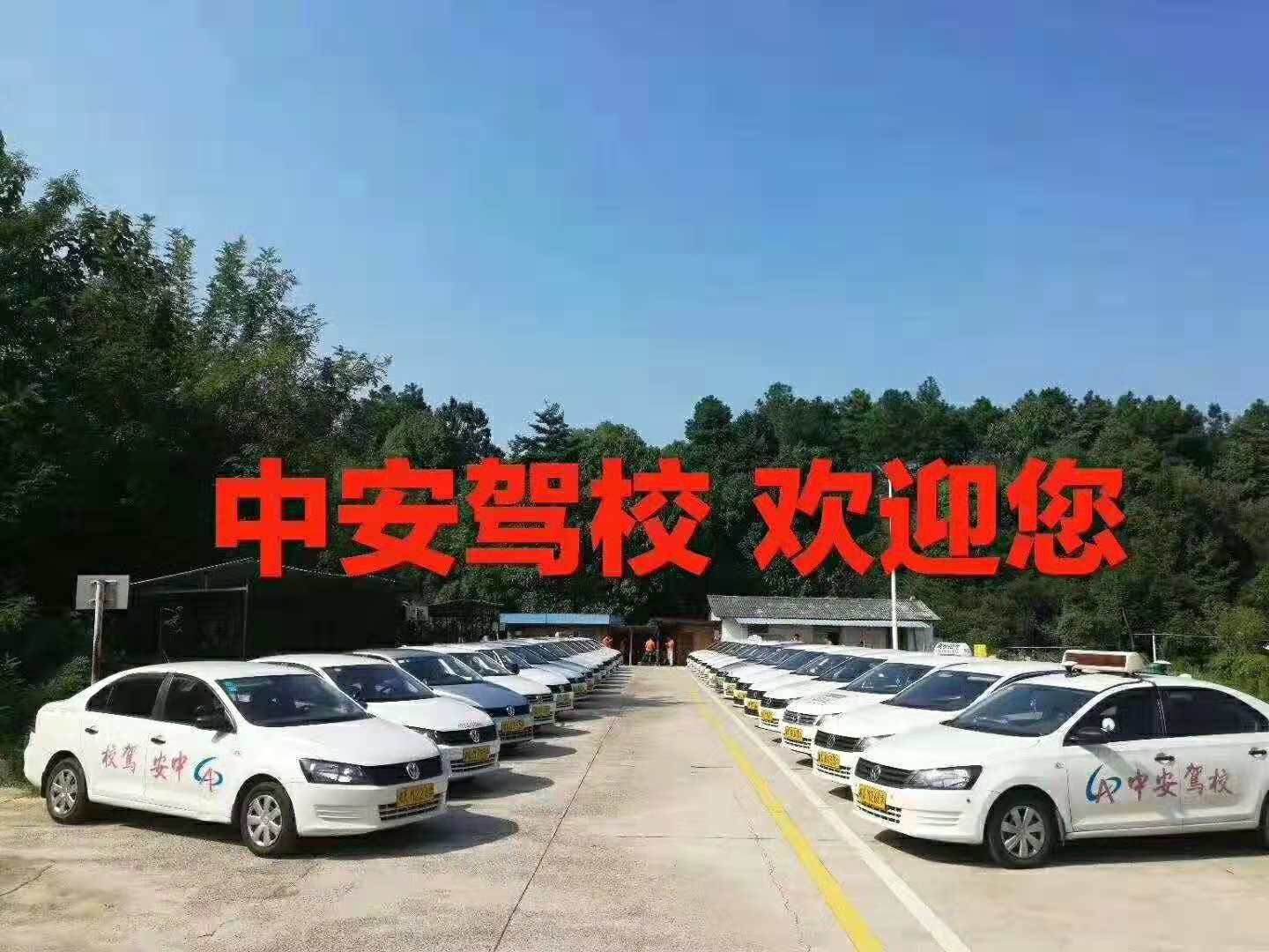 駕校女教練招生陪練車