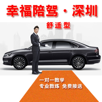 90元深圳優(yōu)質(zhì)陪駕專業(yè)教練一對(duì)一全市道路練習(xí)